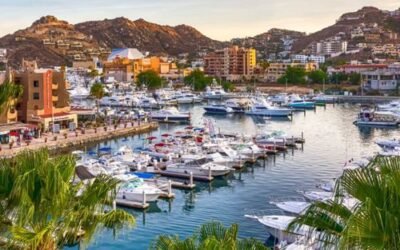 In the Age of Social Media: Fear Travels Faster Than Facts